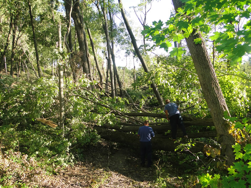 /pictures/Trail Clean Up 2018/DSC06595.jpg